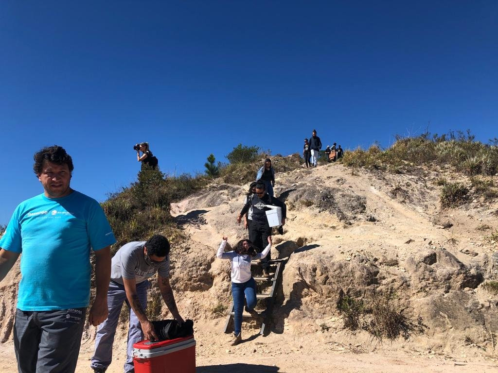 Morro da Palha景点图片