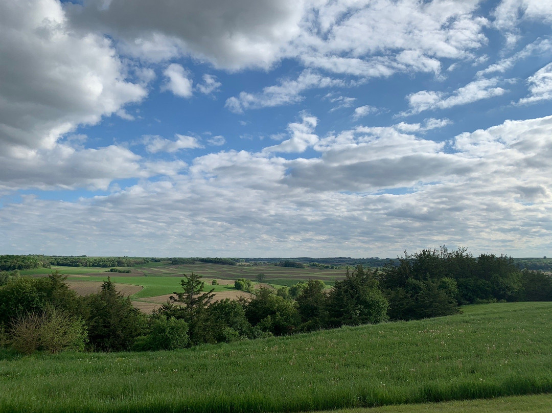 Stone Mill Hotel & Suites主图