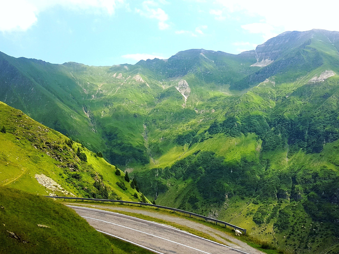 Eremiea Octavian George-布加勒斯特必去景点