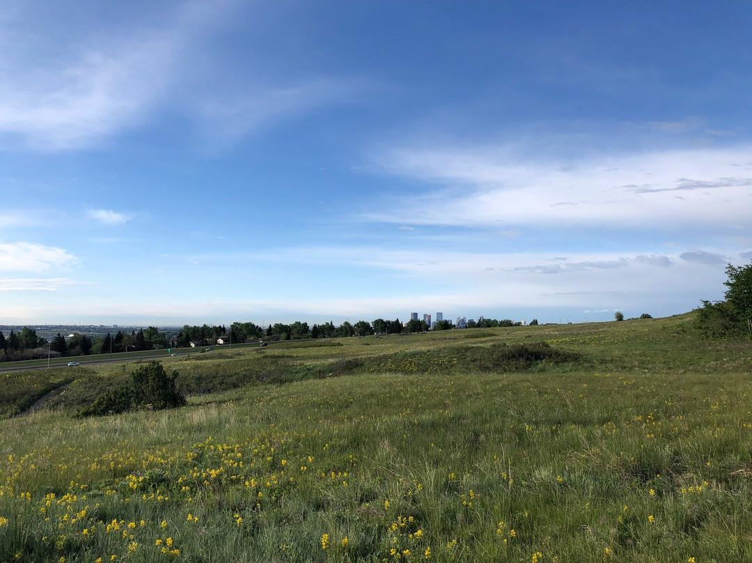 Nose Hill Park-卡尔加里必去景点