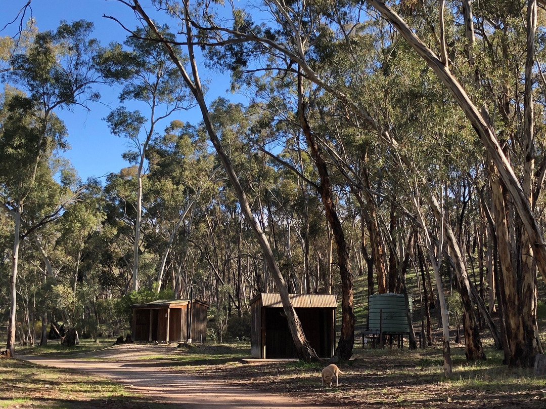 Wirrabara Forest景点图片