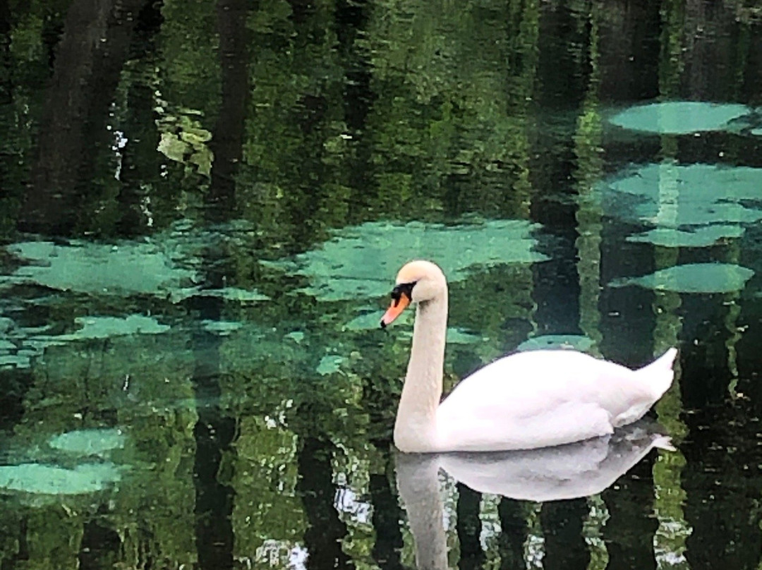 Niebieskie Zrodla Nature Reserve景点图片