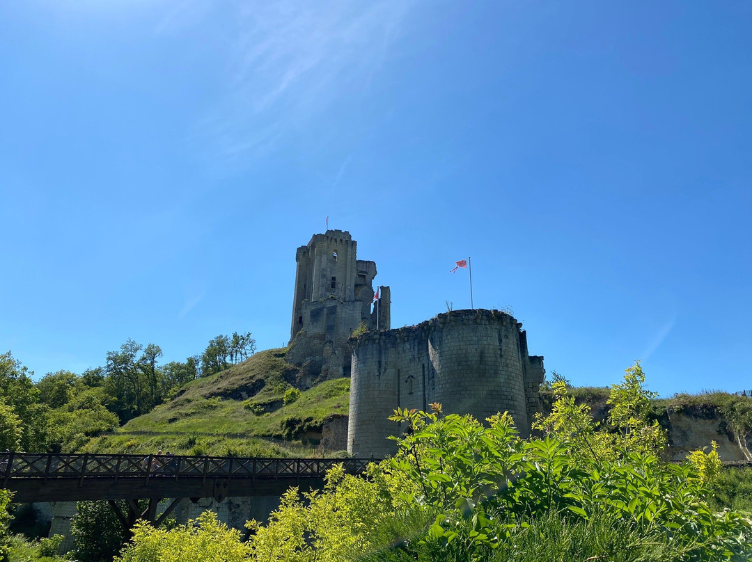 Chateau de Lavardin景点图片