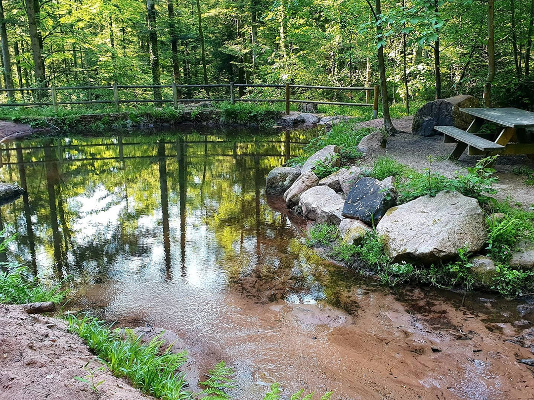 Cascade des Molières景点图片