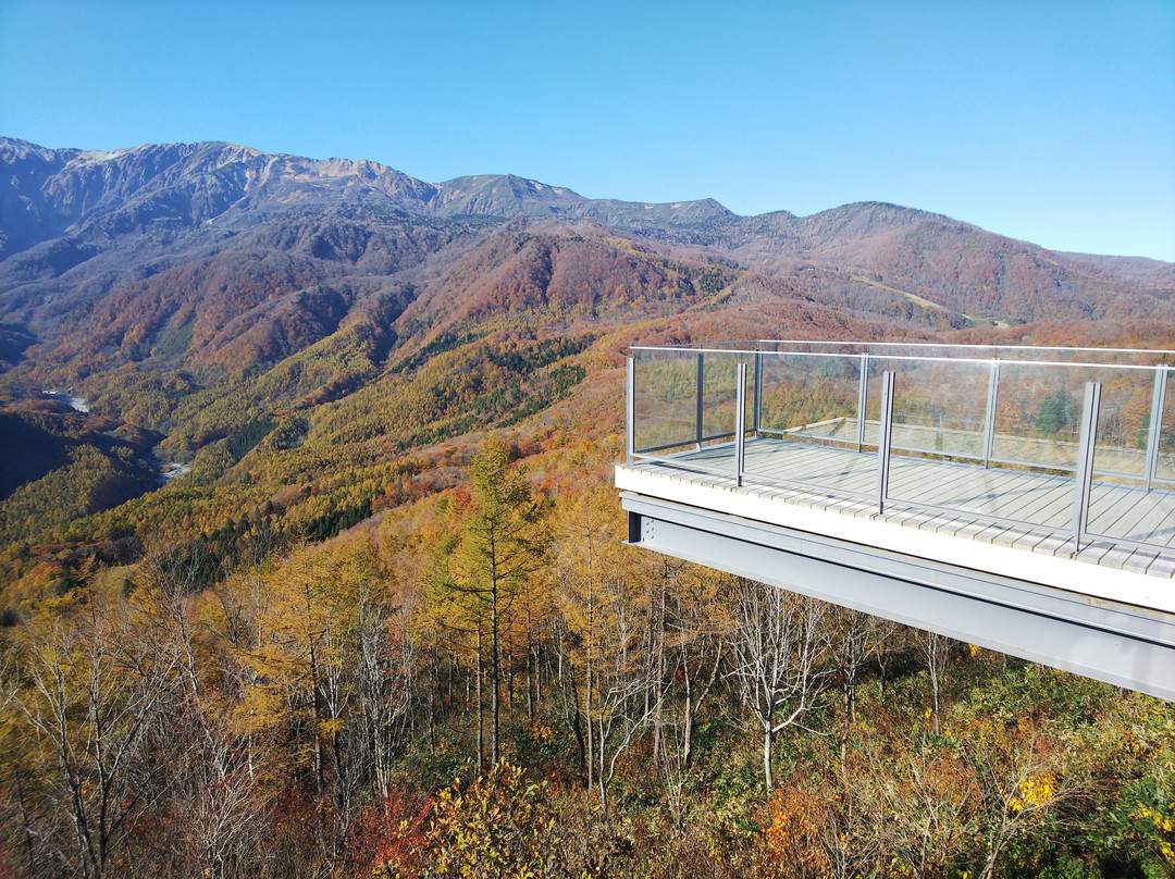 Hakuba Mountain Harbor景点图片