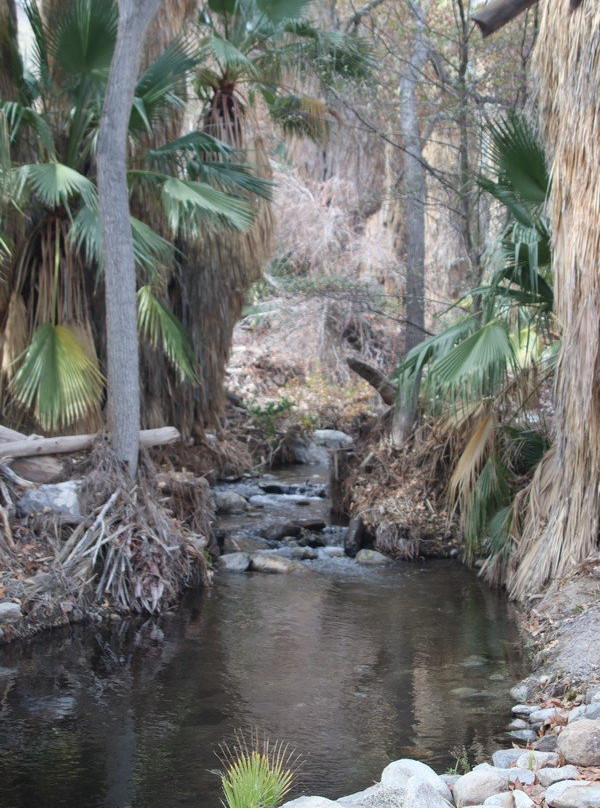 印地安峡谷-棕榈泉市必去景点