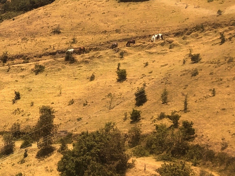 Ecuador Local Guide-基多必去景点