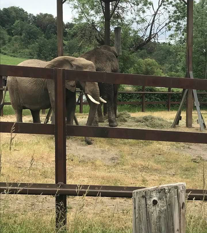 Wildlife Safari景点图片