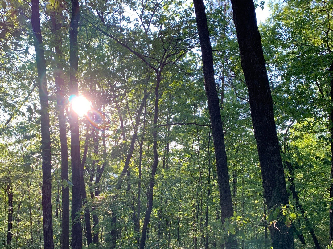 Keowee-Toxaway State Park景点图片