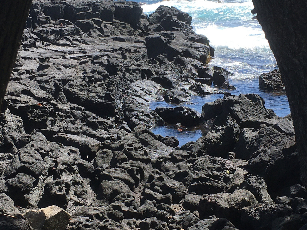 Whittington Beach Park-纳勒胡必去景点