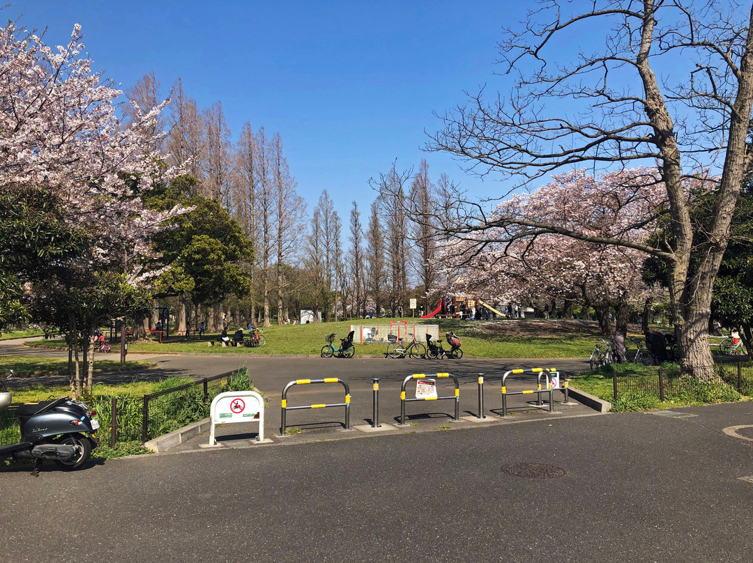 Shinozaki Park-江戸川区必去景点