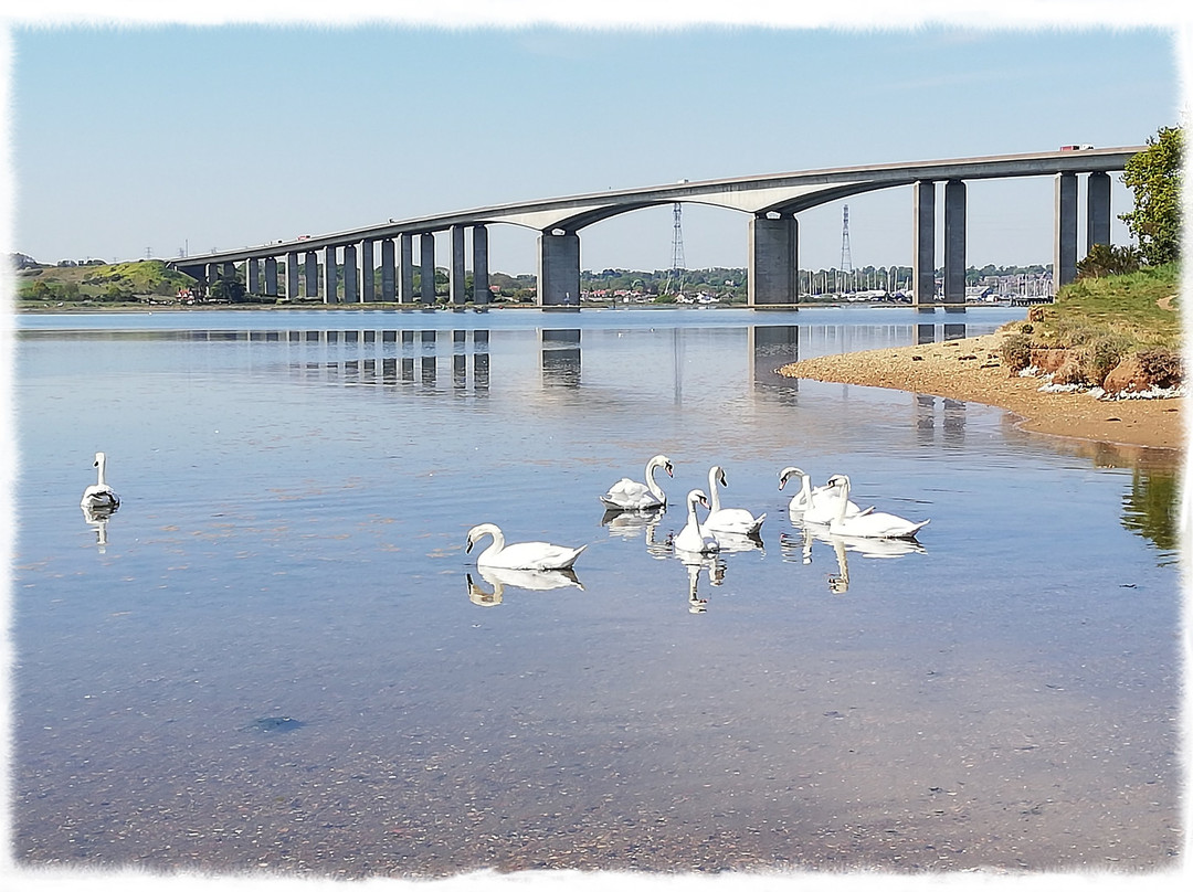 Orwell Country Park景点图片