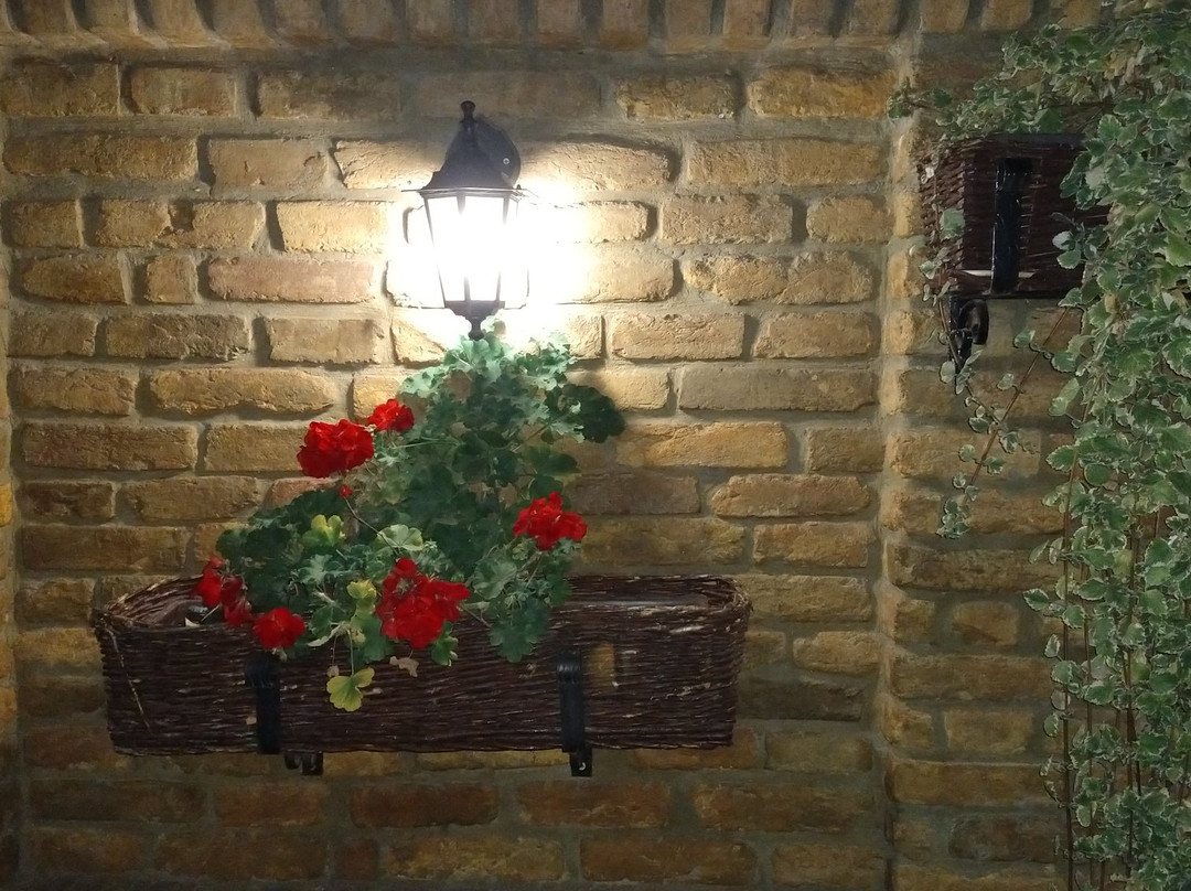 Podrum Bajilo (Wine Cellar)景点图片
