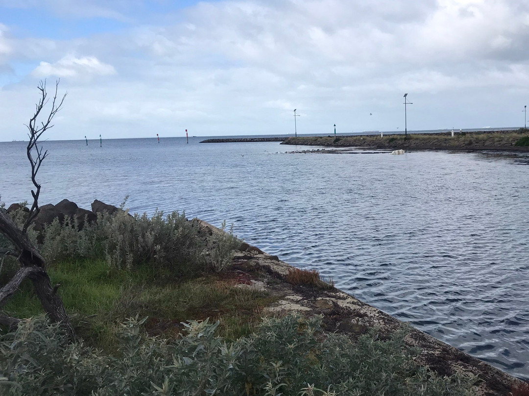 Hobsons Bay Coastal Trail景点图片