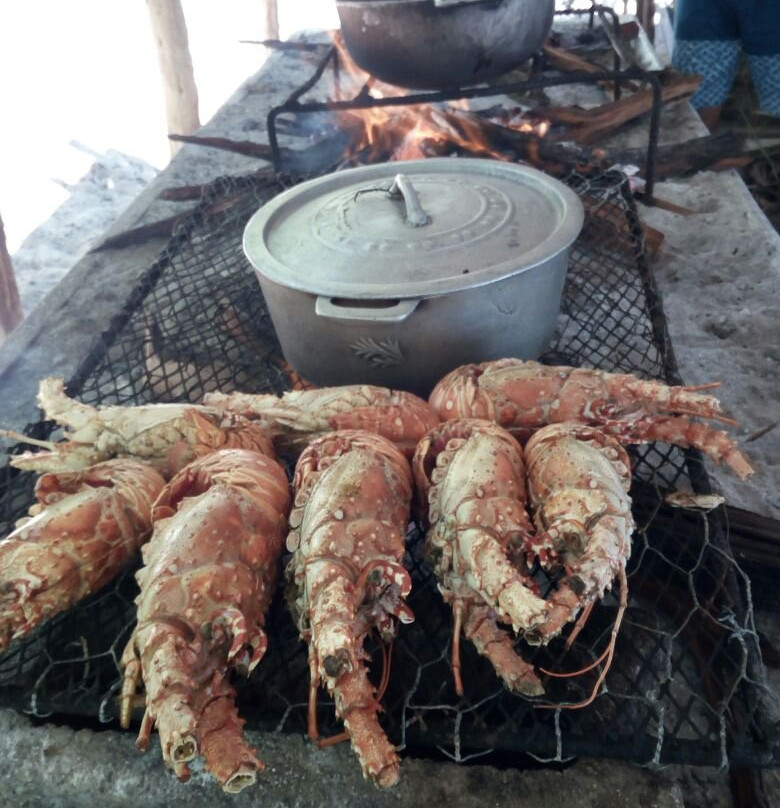 Captain Dennis Boat Tours-瑰宝滩必去景点