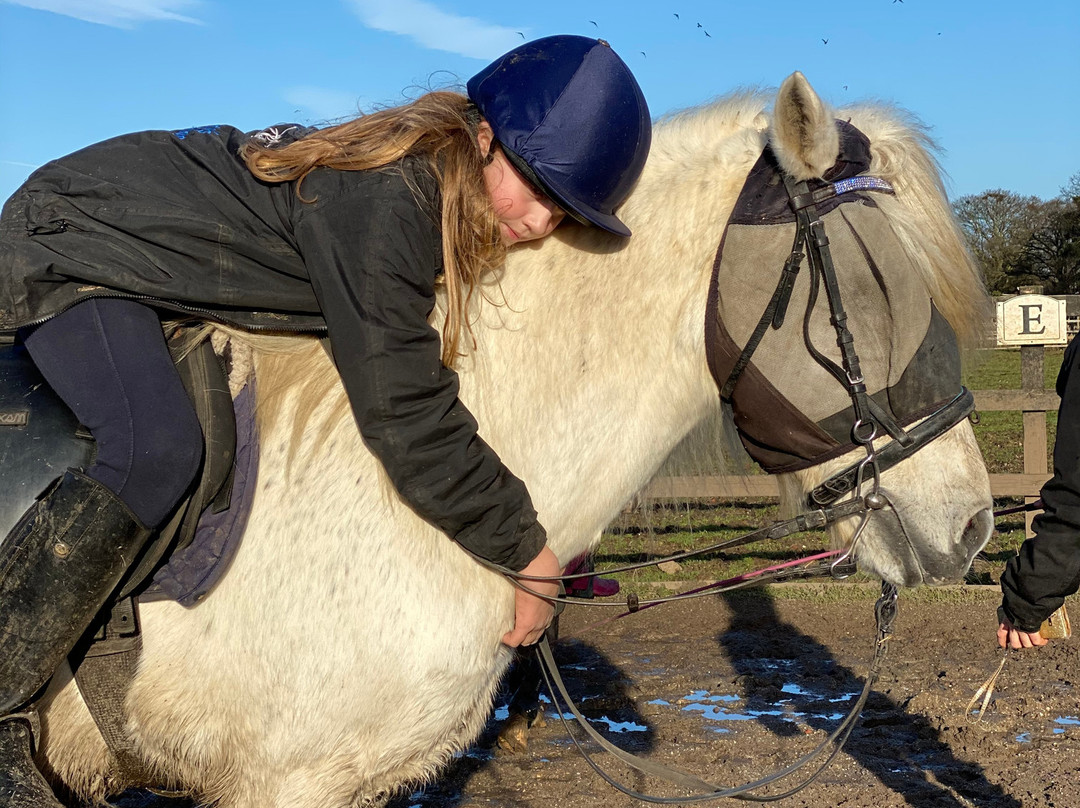 Montys Equestrian Centre景点图片