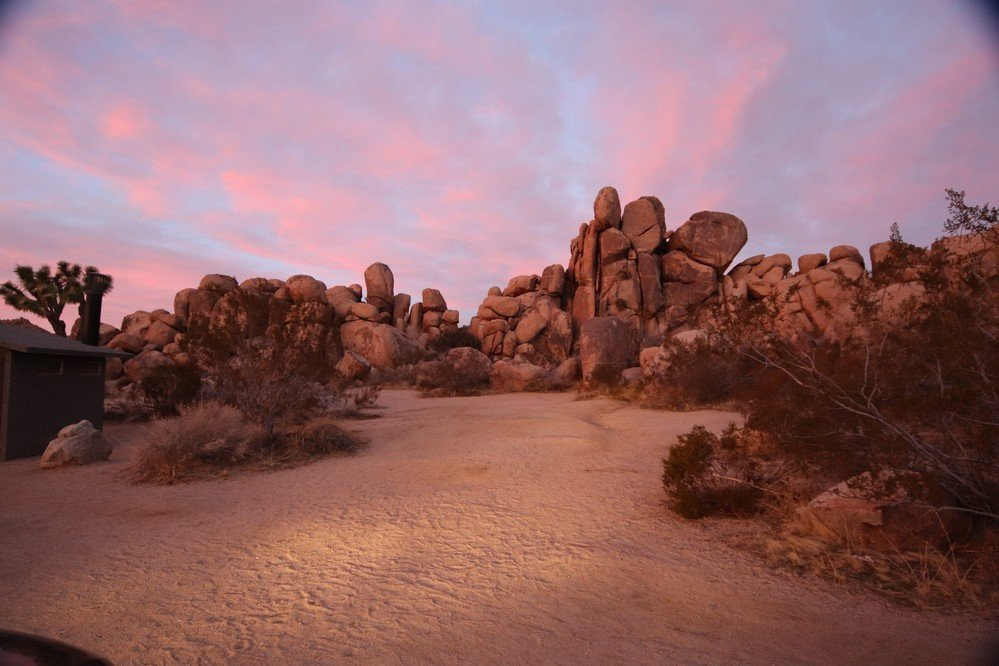 Banana Cracks Rock-约书亚树必去景点