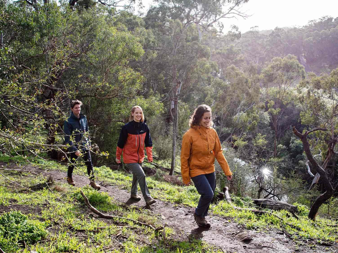 Yarrambat旅游攻略图片