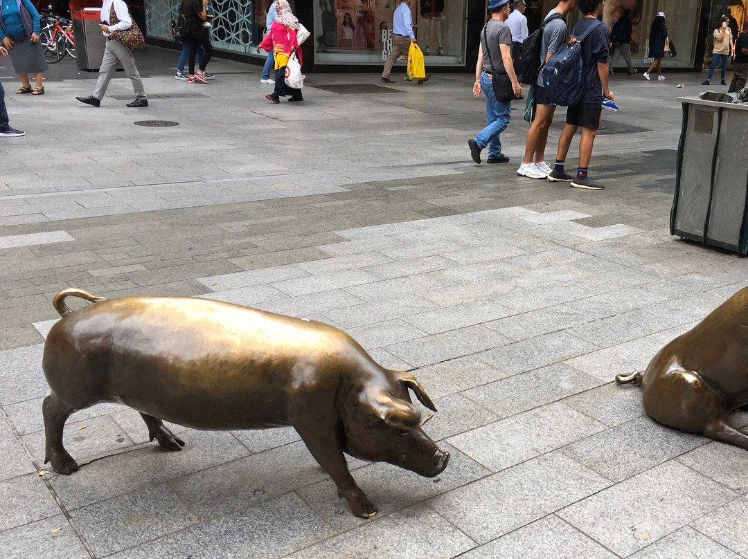 The Rundle Mall Pigs-阿德莱德必去景点