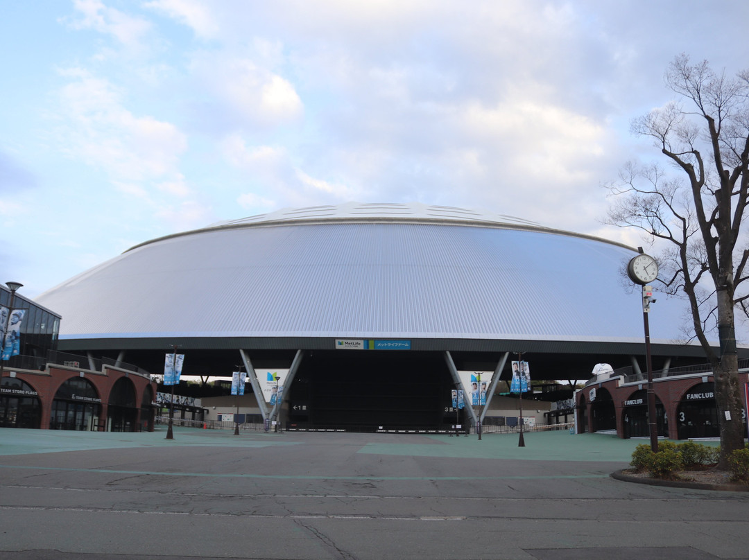 MetLife Dome-所泽市必去景点