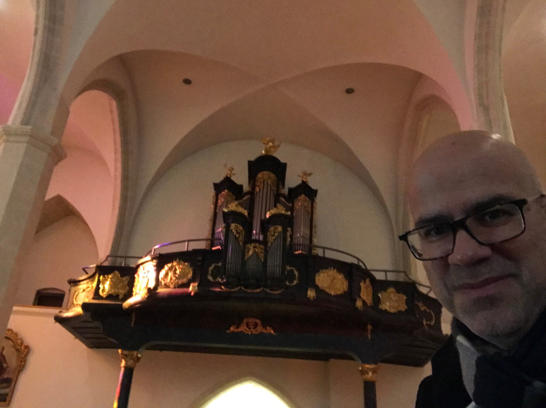 Dom- und Stadtpfarre zum Hl. Martin-铁城必去景点