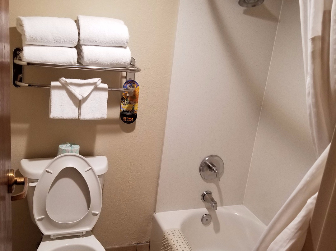 大峡谷智选假日套房酒店主图