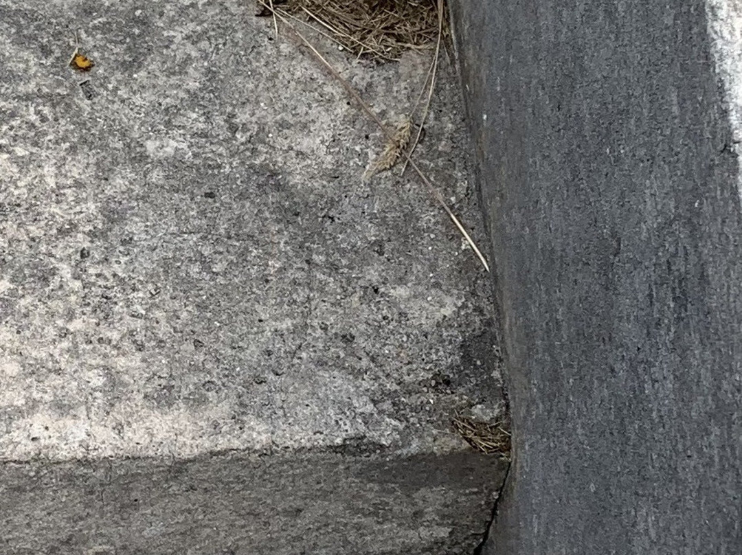 Stanley Military Cemetery-Stanley必去景点