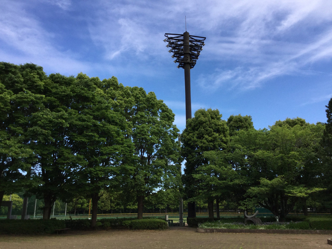 Tomisato Central Park-富里市必去景点