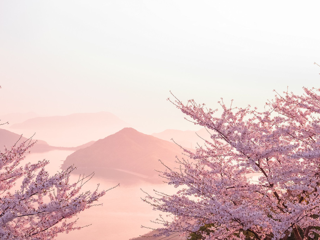 Mt. Shiude景点图片