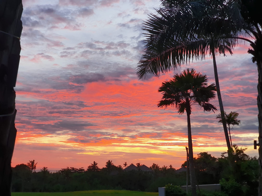 The Double View Mansions主图