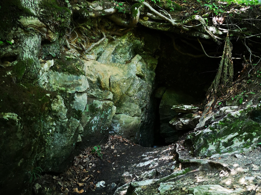 Radochowska Cave景点图片