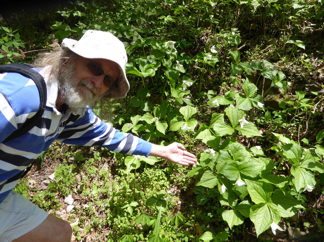 Base of the Falls Trail-道森维尔必去景点