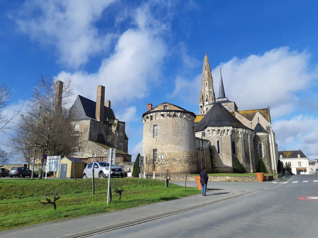 Chateau de Martigne Briand景点图片