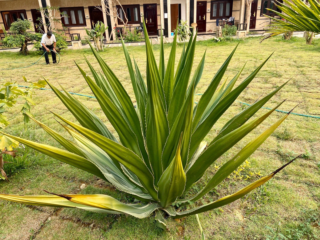 Diamond Resort Vang Vieng主图