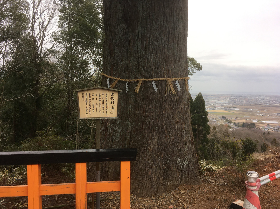 Kumanonachi Shrine-名取市必去景点