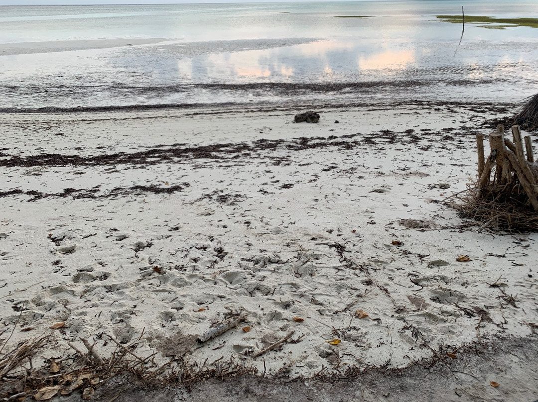 Horsburgh Island Guest House主图