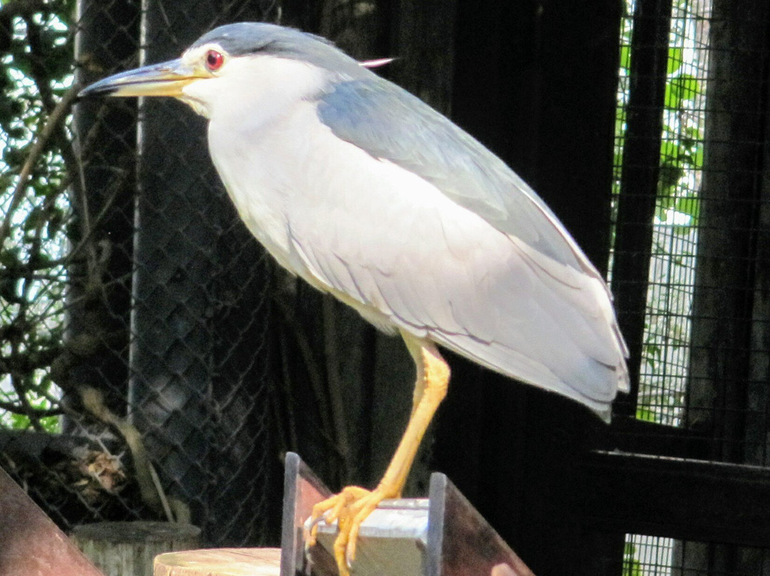 Haifa Educational Zoo-Haifa必去景点