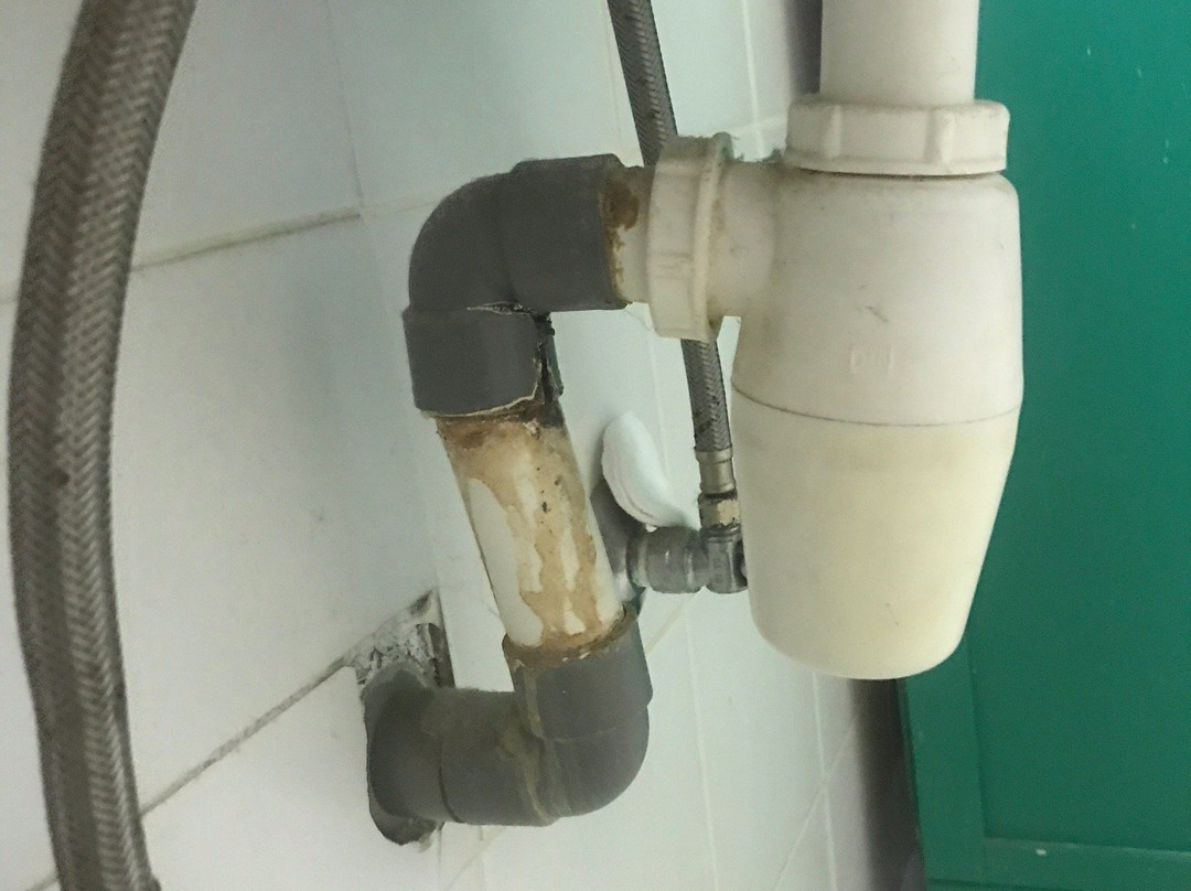 Coco Palm Garden & Casa Oleander主图