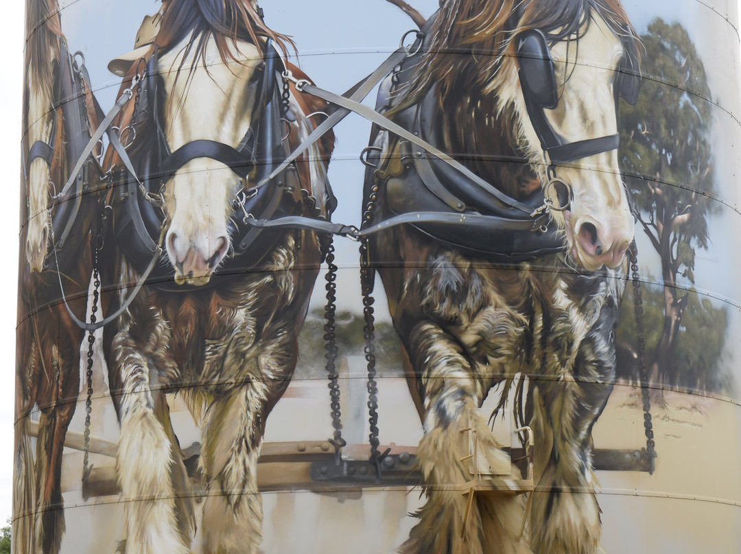 Silo Art Trail-Lascelles必去景点