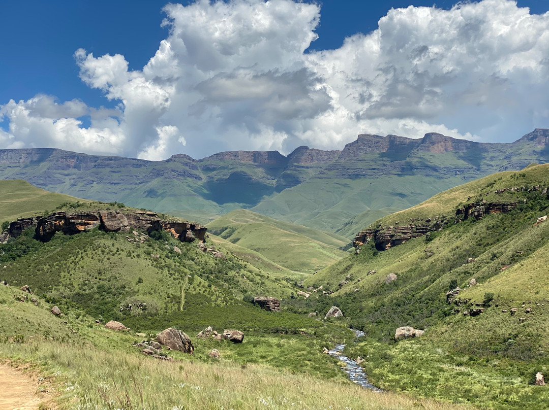 The Valley of a 1000 Hills景点图片