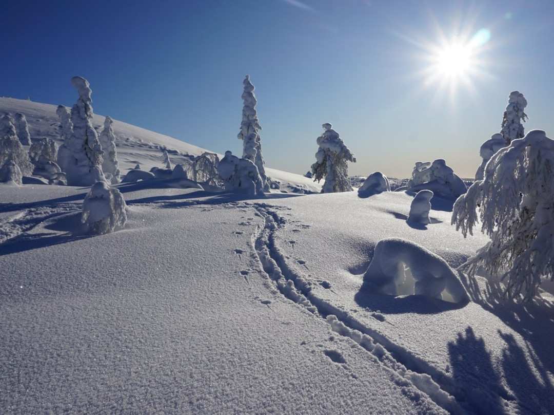 Sallatunturi Snowshoe Route-Salla必去景点