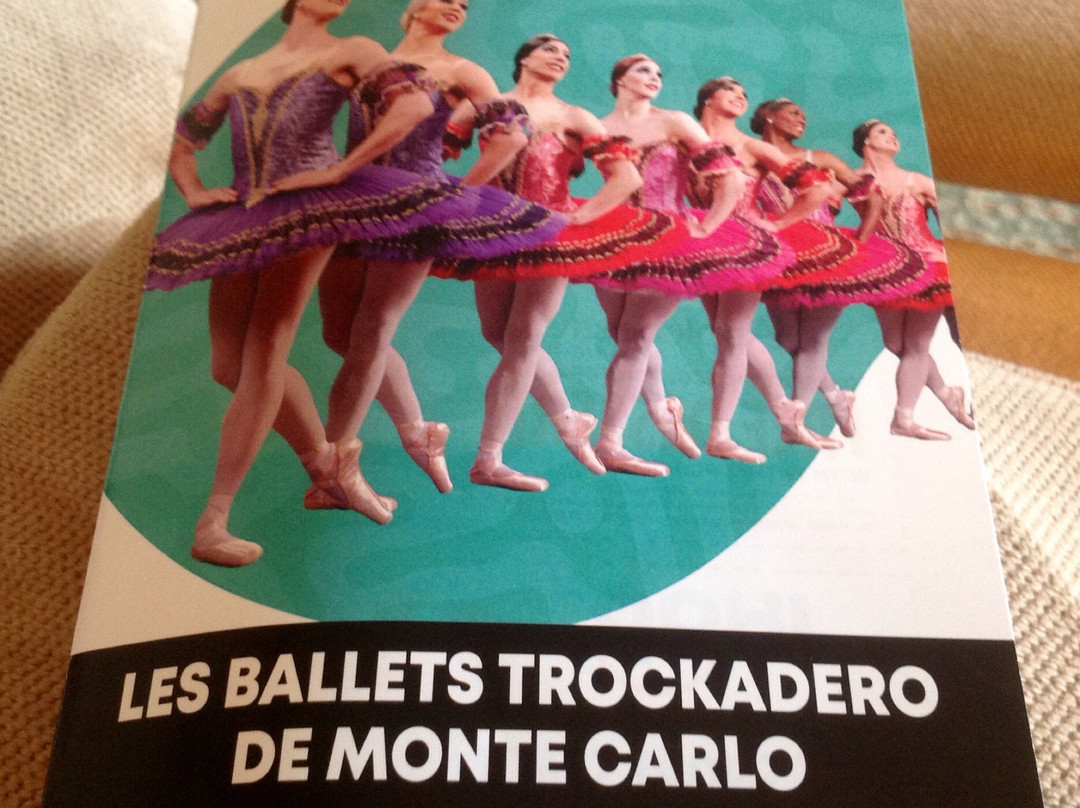 Mary D'Angelo Performing Arts Center-伊利必去景点