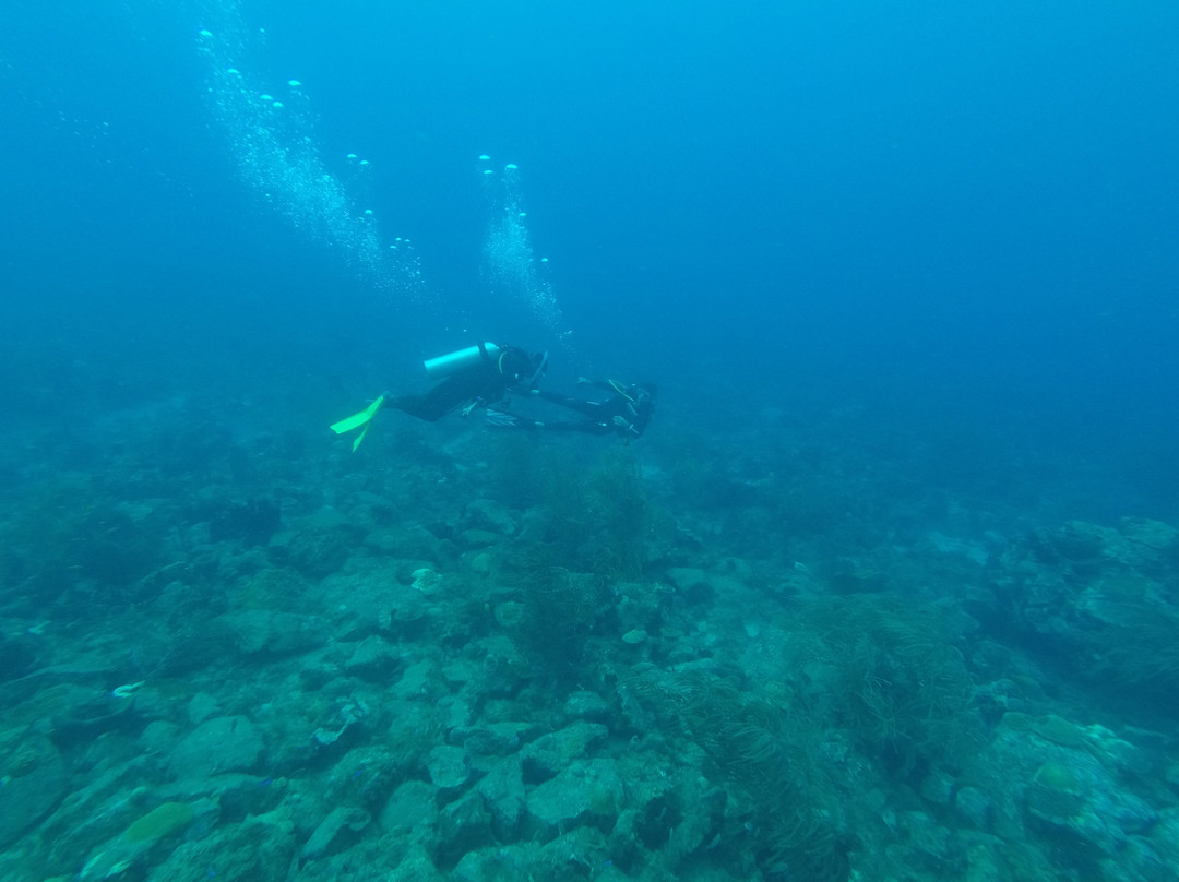 SALT-Toucari必去景点