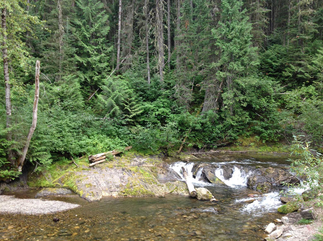 Mount Fernie Provincial Park景点图片