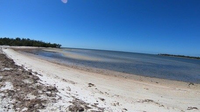 Wild Florida Ecotours-那不勒斯必去景点