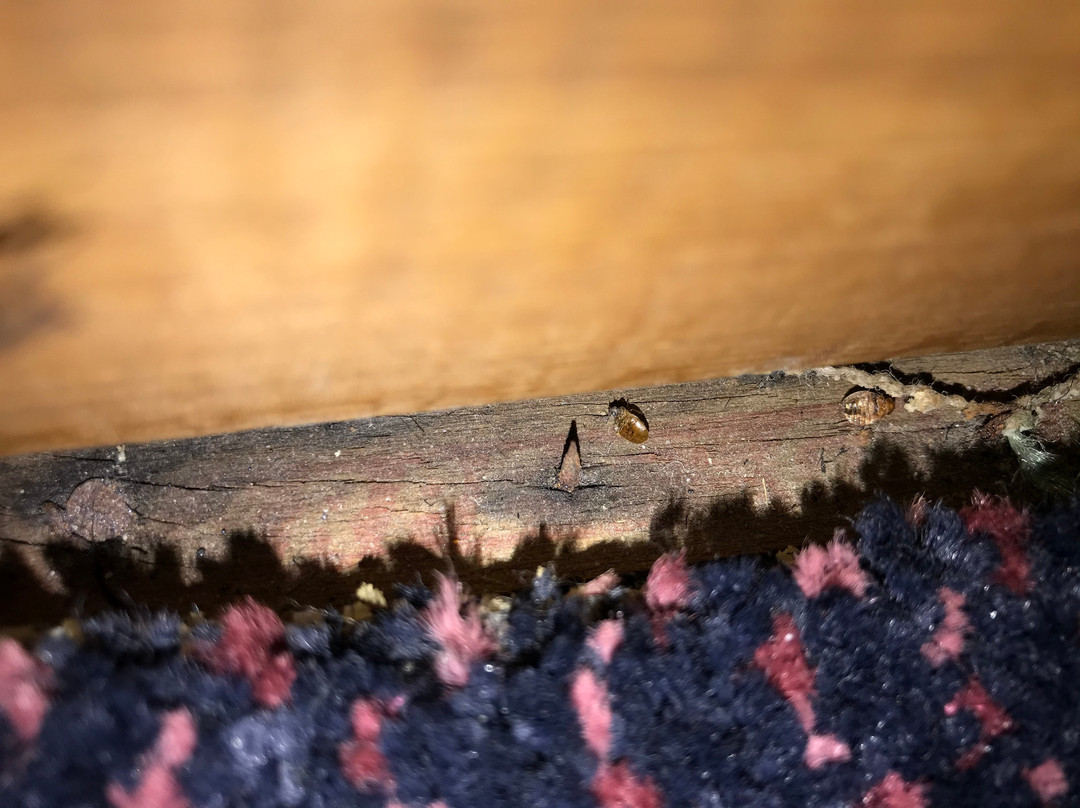 Denison Inn & Suites主图