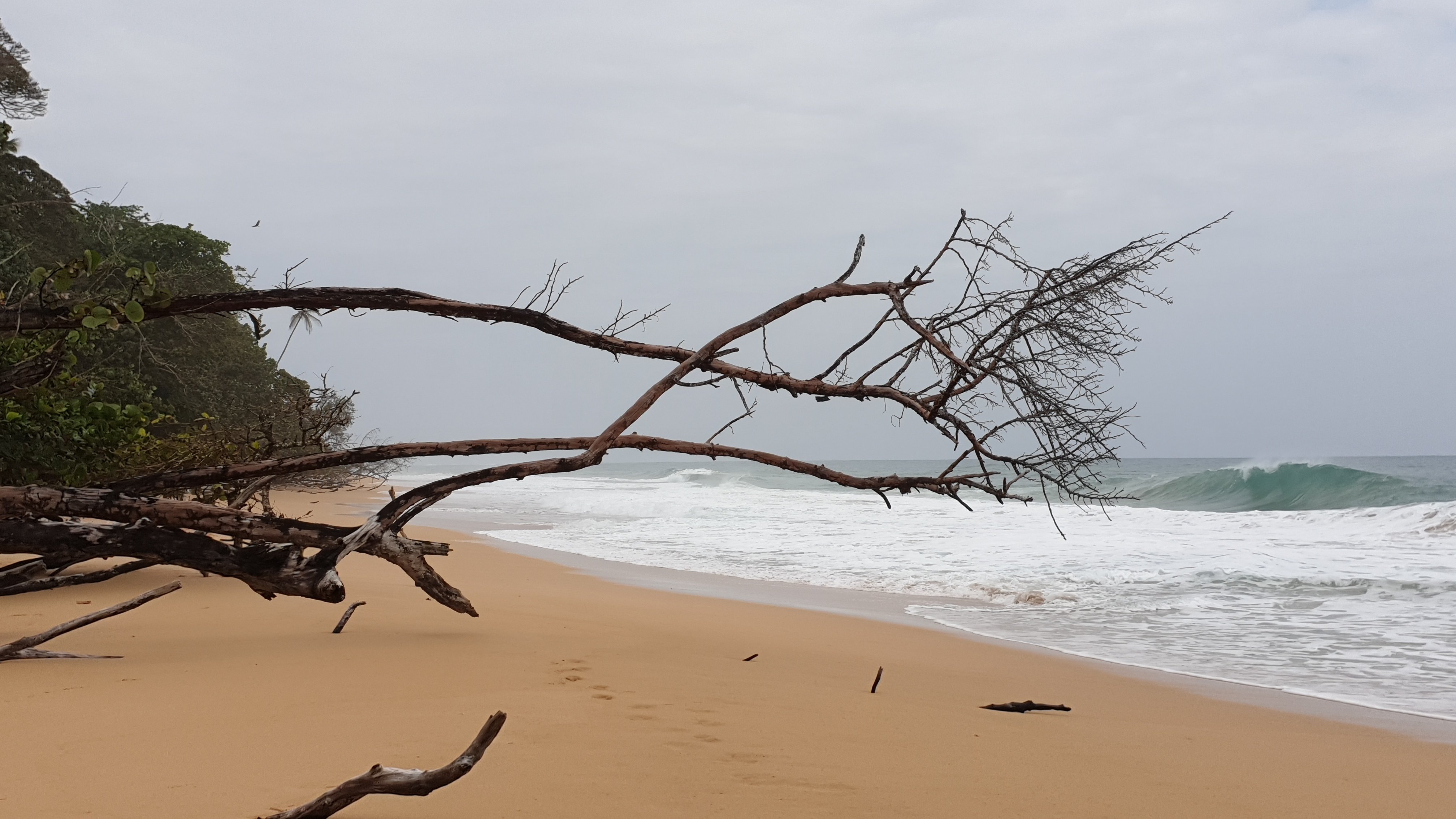 Bluff Beach Retreat-泳池