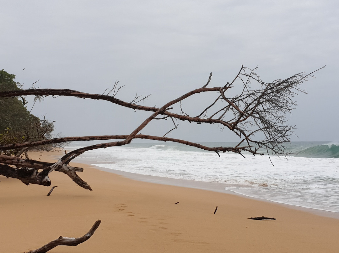 Bluff Beach Retreat主图