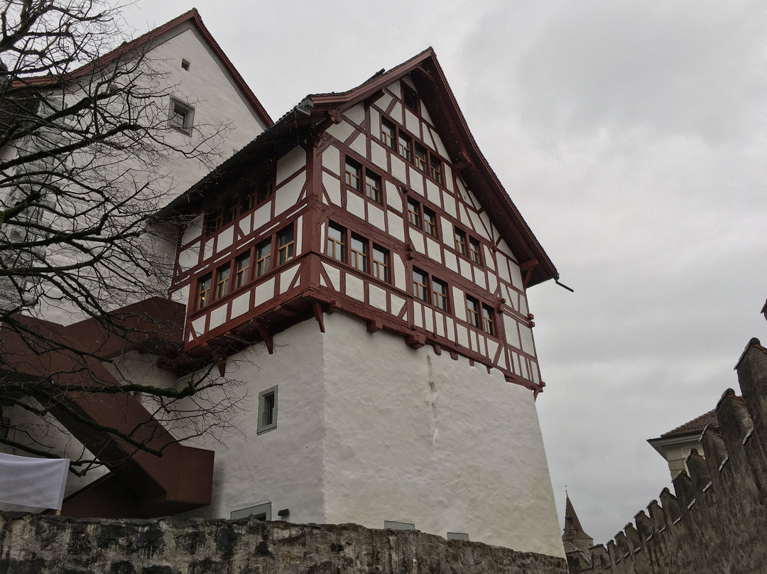 Museum Burg Zug景点图片