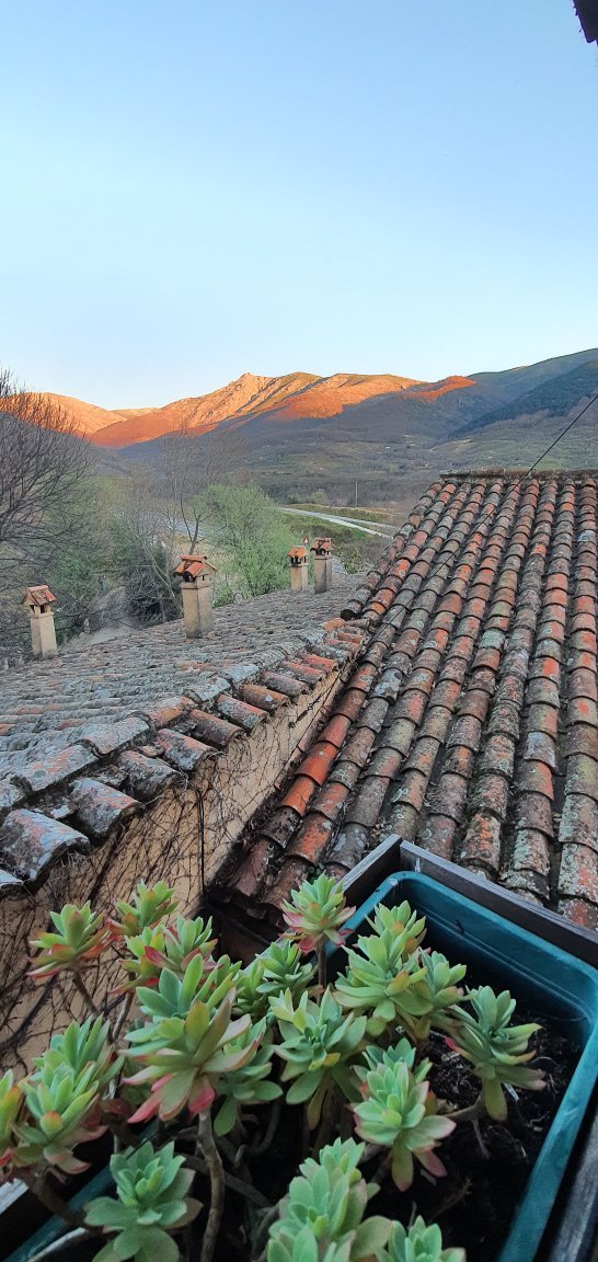Finca El Carpintero-官方